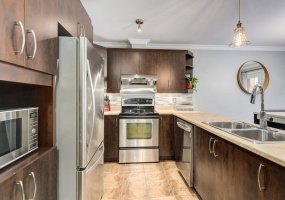 7711 Callaghan Road, San Antonio, Texas 78229, 1 Bedroom Bedrooms, ,1 BathroomBathrooms,Condo,For Rent,7711 Callaghan Road,203-4,1247