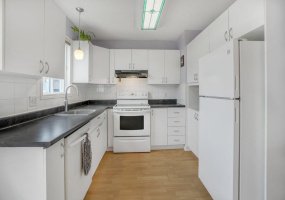 8030 Broadway Street, San Antonio, Texas 78209, 1 Bedroom Bedrooms, ,1 BathroomBathrooms,Condo,For Rent,8030 Broadway Street,1272