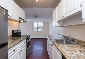 1 Towers Park Lane, San Antonio, Texas 78209, 2 Bedrooms Bedrooms, ,2 BathroomsBathrooms,Apartment,For Rent,1 Towers Park Lane,2077A,1311