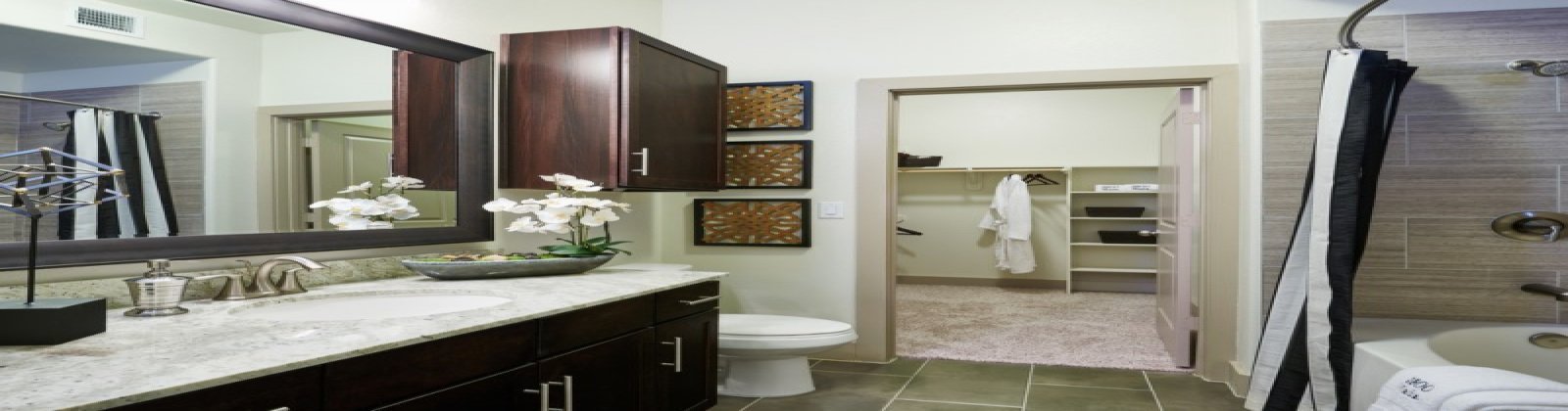 3801 Main Street, Houston, Texas 77002, 1 Bedroom Bedrooms, ,1 BathroomBathrooms,Apartment,For Rent,3801 Main Street,2401-2,1344