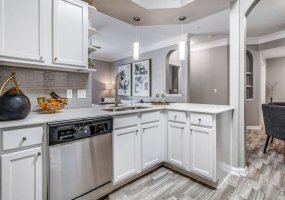 2241 S State Hwy 121, Lewisville, Texas 75067, 1 Bedroom Bedrooms, ,1 BathroomBathrooms,Apartment,For Rent,2241 S State Hwy 121,2802,1450