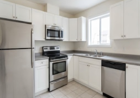 2401 East Airport Fwy, Irving, Texas 75062, 1 Bedroom Bedrooms, ,1 BathroomBathrooms,Apartment,For Rent,2401 East Airport Fwy,1543
